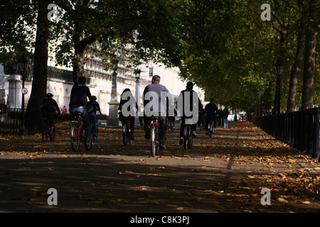 Blick entlang eines Weges von der Seite von The Mall in London Stockfoto