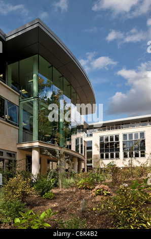 Ibstock Ort Schule in Roehampton, London. Stockfoto