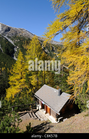 Anhang zur Chamanna Cluozza im Herbst, Val Cluozza, Schweizerischer Nationalpark, Engadin, Graubünden, Schweiz Stockfoto