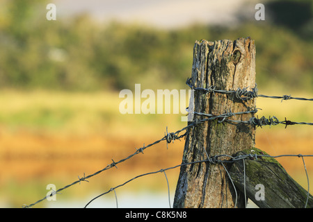 Eine Anstrengung Post in einem Zaun. Stockfoto