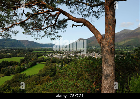 Keswick aus Castlehead Holz, Lake District Stockfoto