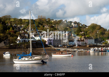 Dittisham ist ein Dorf und Zivilgemeinde im Bezirk South Hams in der englischen Grafschaft Devon, Greenway Gardens.River Dart Stockfoto