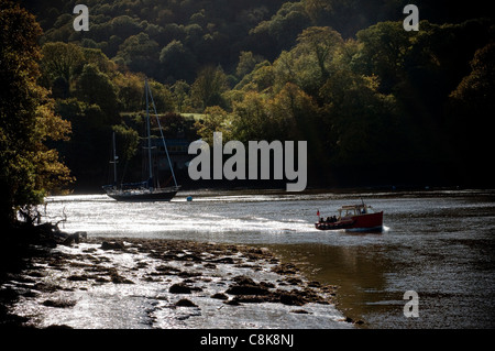 Die Dartmouth - Dittisham Fähre in Dittisham und/oder Greenway Gärten. Dittisham ist ein Dorf und Zivilgemeinde in South Hams Stockfoto