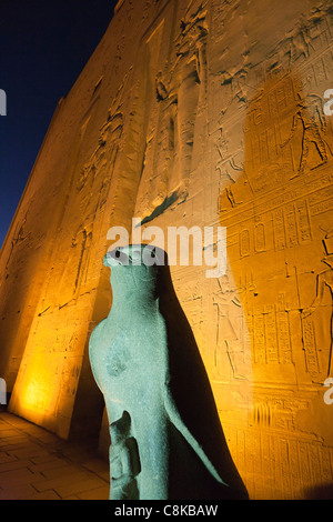 Die Statue des Horus von Behedet bei Sonnenuntergang auf dem Vorplatz am Eingang zu den ersten Pylon, Edfu Tempel, Edfu Oberägypten Stockfoto