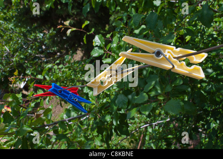 Eine Nahaufnahme von farbigen Wäscheklammern auf einer Wäscheleine vor dem Hintergrund einer grünen Sträuchern Chianciano Terme, Umbrien, Italien. Stockfoto