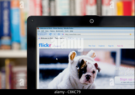 Die Flickr-Website erschossen vor einem Bücherregal-Hintergrund (nur zur redaktionellen Verwendung: print, TV, e-Book und redaktionelle Webseite). Stockfoto