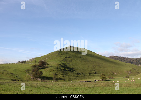 Thorpe Cloud im Peak District, die den Eingang zum Dovedale bewacht Stockfoto