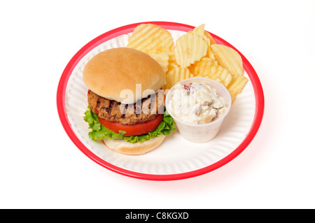 Veggie-Burger mit Salat und Tomate in Brötchen in einem roten Retro-Kunststoffplatte Korb auf weißem Hintergrund, gegrillte Ausschnitt. Stockfoto