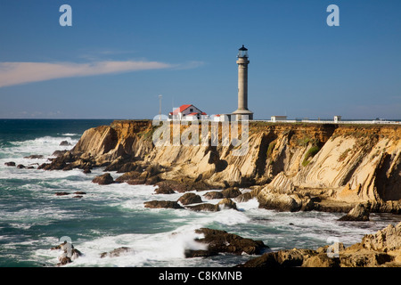 CA00973-00... Kalifornien - Point Arena Leuchtturm auf einer robusten Landzunge mit Blick auf den Pazifischen Ozean. Stockfoto