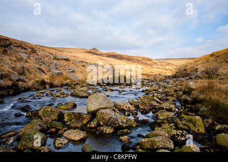 Robuste wilde Landschaft am Tavy Cleave im Dartmoor National Park, Devon England UK Stockfoto