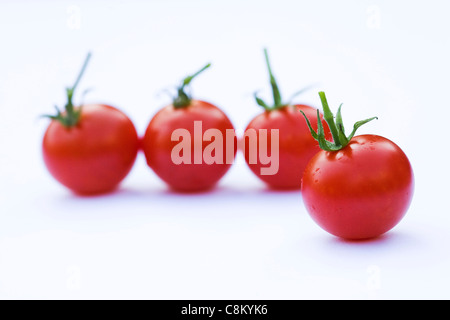 Lycopersicon Esculentum. Kleine Kirschtomaten "Gärtner Delight" auf einem weißen Hintergrund. Stockfoto