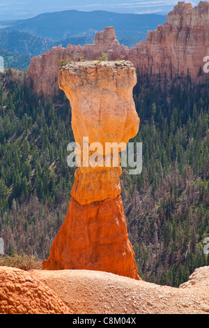 Felserosion - Bryce Canyon, Amerika Stockfoto