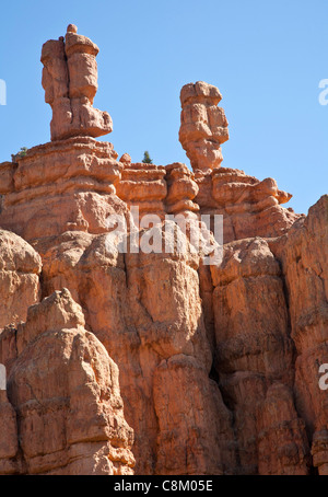 Felsformation - Bryce Canyon Stockfoto