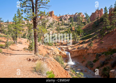 Blick entlang moosige Höhle & Wasserfall-Trail Stockfoto