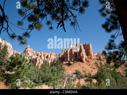 Water Canyon, Mossy Cave Trail im Bryce Canyon, Amerika Stockfoto