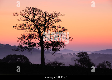 Bunten Sonnenaufgang an einem nebligen Herbstmorgen im Dacre, Nidderdale, England Stockfoto