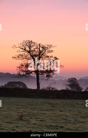 Bunten Sonnenaufgang an einem nebligen Herbstmorgen im Dacre, Nidderdale, England Stockfoto