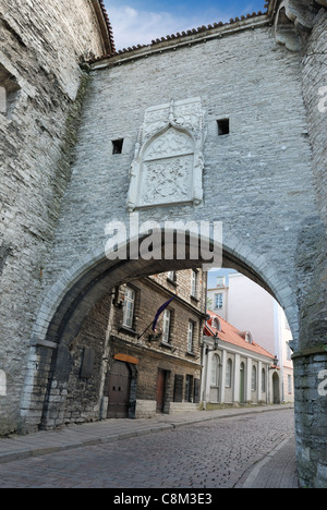 Große Küsten Tor, 16. Jahrhundert, und Wappen der Stadt über das Tor in alten Tallinn, Estland. Stockfoto