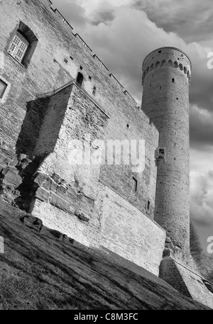 Der Turm hoch Hermann (Pikk Hermann) auf Burg auf dem Domberg in Tallinn, Estland. Stockfoto