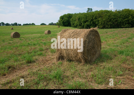 Ballen Heu Central Michigan USA Stockfoto