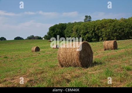 Ballen Heu Central Michigan USA Stockfoto