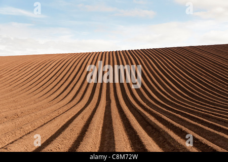 Ein frisch gepflügten Feld in East Lothian, Schottland, zeigt ein geometrisches Muster von Schatten in den Furchen. Stockfoto