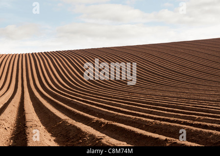 Ein frisch gepflügten Feld in East Lothian, Schottland, zeigt ein geometrisches Muster von Schatten in den Furchen. Stockfoto