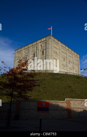 Das prächtige Gebäude der Norwich Schloss in Norwich, Norfolk Stockfoto