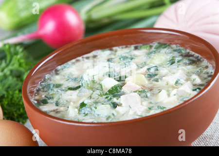 Lauchzwiebel Stockfoto