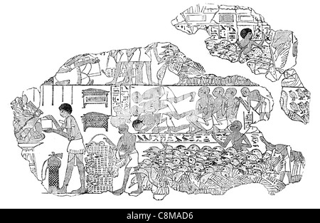 Herde Gänse ägyptischen Ägypten antike Sammlung Sir Hans Sloane Archäologie Archäologin alte British Museum Stockfoto