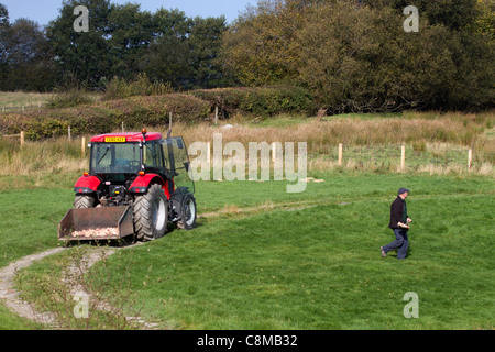 Gigrin Farm; Kite Futterstation; Rhayader; Wales; Verbreitung von Fleisch für den Drachen Stockfoto