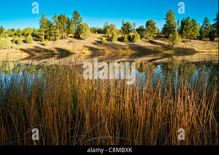 Einen wunderschönen Sonnenaufgang auf Narr Hollow Lake State Park, Arizona. Stockfoto