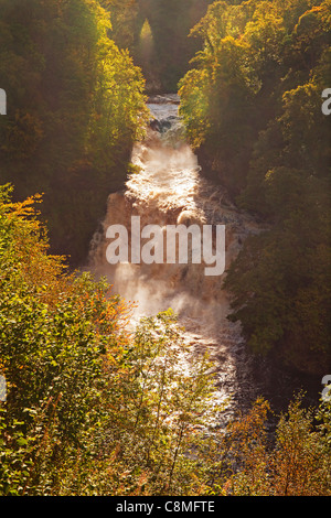 Corra Linn über New Lanark, Falls of Clyde Stockfoto