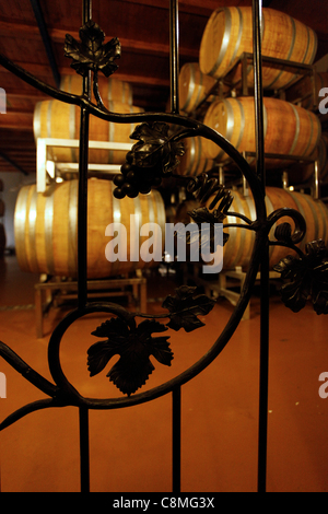 Traditionelle Weinfässer im Keller der Amphora-Weingut in der Nähe von Zichron Yaacov, am Fuße des Berges Carmel Grat Nordisrael Stockfoto