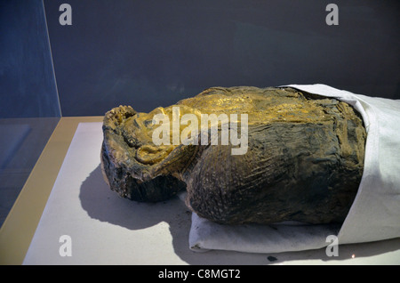 Das Bawati-Museum oder die Mumie-Halle, das Museum enthält Entdeckungen aus einem riesigen Cache von Mumien gefunden in der Oase Bahariya. Stockfoto