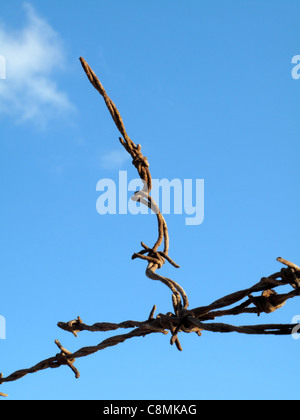 Eine Nahaufnahme von rostigen Teil einen Stacheldrahtzaun genommen vor einem blauen Himmel. Stockfoto