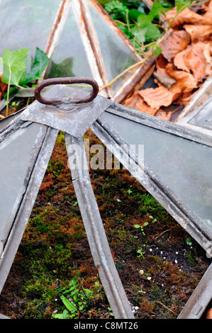 gebrochene brach alte Glas Cloche distressed Missbrauch Nichtgebrauch stillgelegten Pflanzen Schutz schlecht Baufälligkeit Garten Gartenarbeit Stockfoto