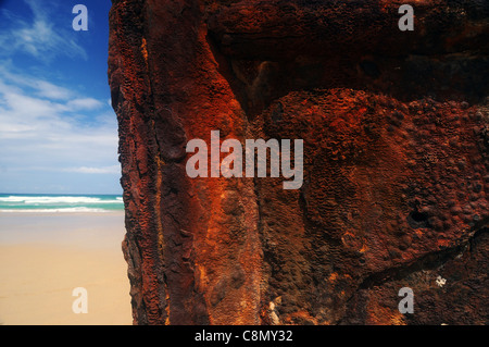 Rosten Wrack der Maheno am Oststrand von Fraser Island World Heritage Area, Queensland, Australien Stockfoto