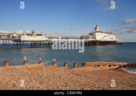 Drei Möwen sitzen auf Stapeln vor der Pier von Eastbourne, East Sussex, England, UK Stockfoto