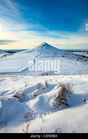 Nähe Topping aus wenig Nähe im Winter Schnee, North Yorkshire Stockfoto