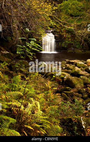 Thomason Foss, Beck Loch, Goathland, North Yorkshire Moors Nationalpark Stockfoto