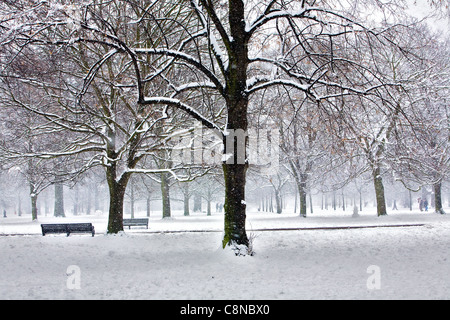 Bäume fallen unter Schnee im Hyde Park in London. Stockfoto