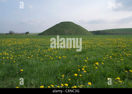 Großbritannien, England, Wiltshire, Avebury, Silbury Hill, Europas größte künstliche antike Monument, Hügel in Löwenzahn Wiese Stockfoto