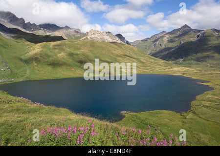 Frankreich, Savoyen, Lac du Chevril in der Nähe von Tignes Stockfoto