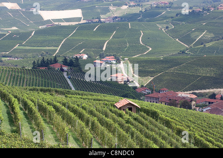 Italien, Piemont, Weinberge rund um Barolo Stockfoto