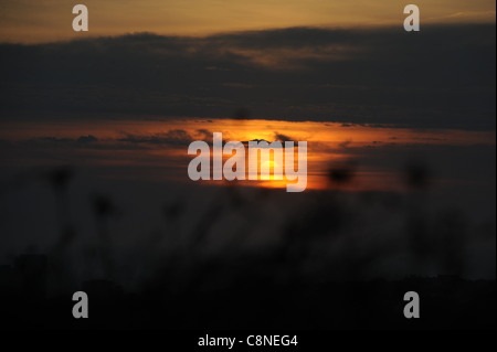 Die Sonne untergeht zwischen dem im Wind wehenden Gras über der Stadt Brighton in Sussex am späten Nachmittag im Herbst Stockfoto