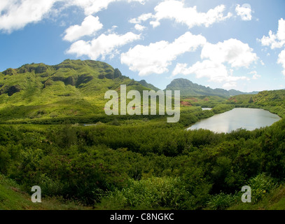 Weiten Blick über die Menehune Fischteich, Kauai Stockfoto