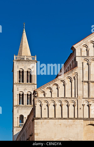 St. Anastasia-Kathedrale ist die größte Kathedrale in Dalmatien, Zadar, Dalmatien, Kroatien, Europa Stockfoto