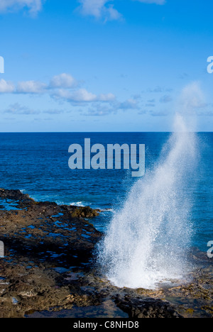 Die sonnige Küste des südlichen Kauai mit Spouting Horn, wo Wasser unter einem Lava-Regal stürzt und bricht in der Luft Stockfoto