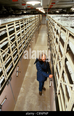 Mitarbeiter des National Seed Storage Laboratory in Fort Collins, Colorado, bewahren mehr als 1 Million Proben von Pflanzengermplasma auf. Hier ruft Techniker Jim Bruce eine Seed-Probe aus dem -18 ºC-Speicher-Vault zum Testen ab. Stockfoto